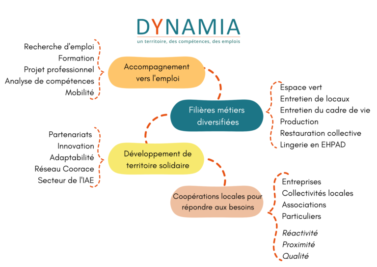 Schéma du fonctionnement interne de l'association Dynamia, l'accompagnement vers l'emploi, les métiers proposés, le développement d'un territoire solidaire et la coopération locale pour répondre aux besoins